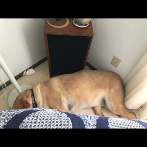 Meet your Posher, Kari